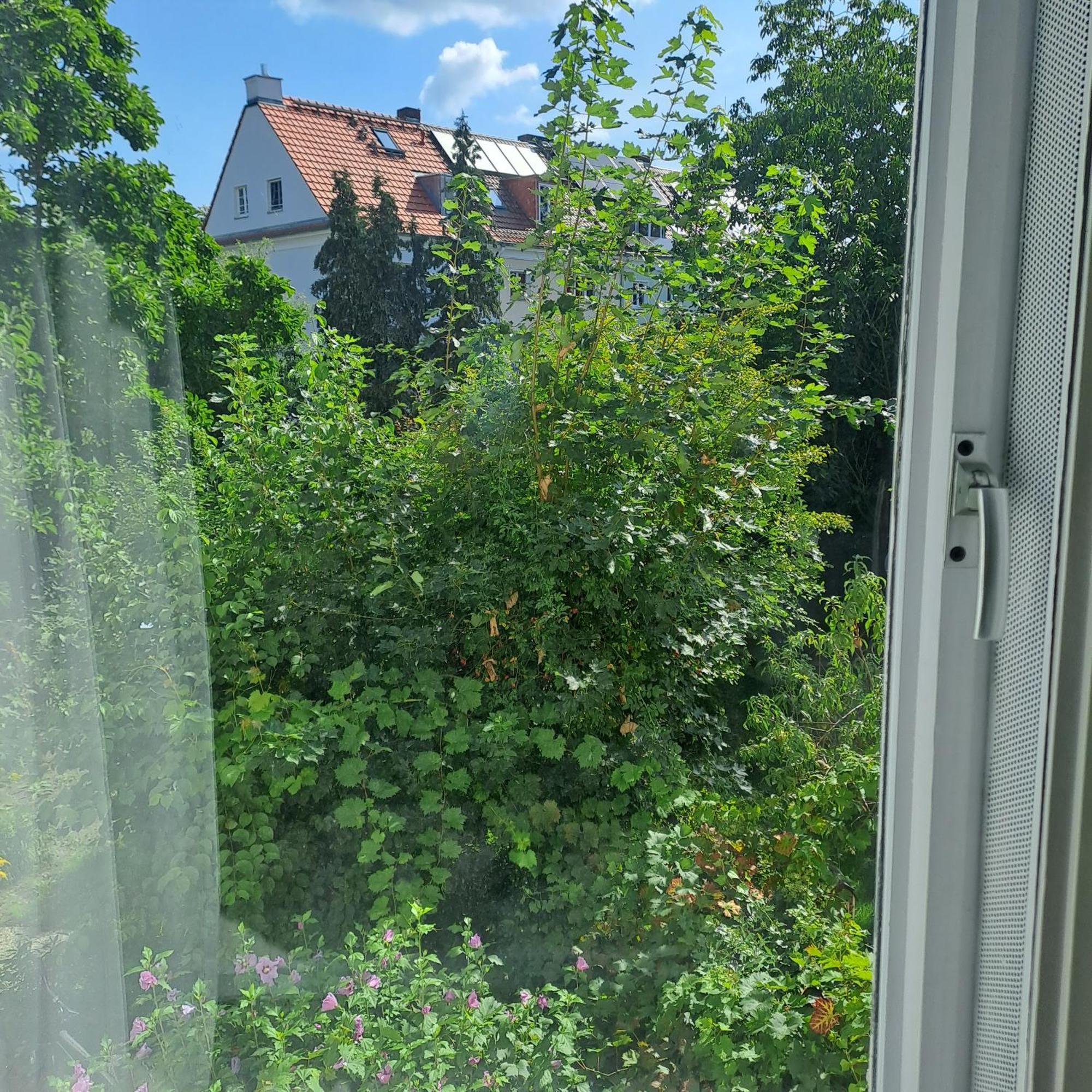Accommodatie bij particulieren Spacious In Tempelhof Park Area